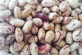 تصویر لوبیا چیتی اعلا ( 600 گرم) 