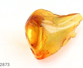 تصویر نگین کهربا بولونی لهستان کلوخه درشت تراش طبیعی کد 12873 