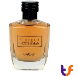 تصویر ادو پرفیوم آرت اند پرفیوم Perfect Gentleman Absulo Art & Parfum