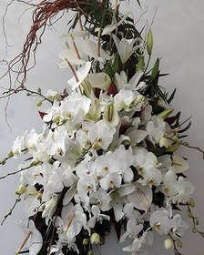 تصویر جام گل شماره 7 