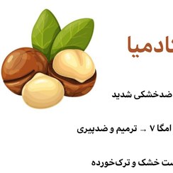 تصویر روغن ماکادمیا 