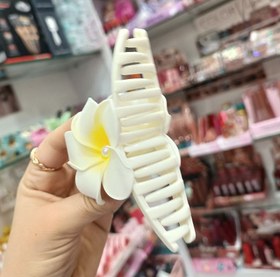 تصویر کلیپس پلومریا زرد 