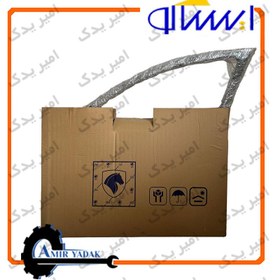 تصویر درب جلو چپ رانا 