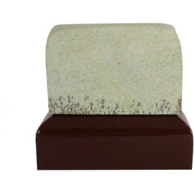 تصویر سنگ راف شجر فسیلی (دندریتی ) کد 2820 