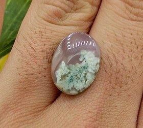 تصویر نگین شجر طبیعی کد ۱۲۰۸۳ 