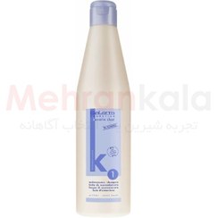 تصویر شامپو بدون سولفات کراتین شات سالرم مدل Maintenance حجم 500 میلی لیتر Salerm Keratin Shot Maintenance Shampoo 500ml