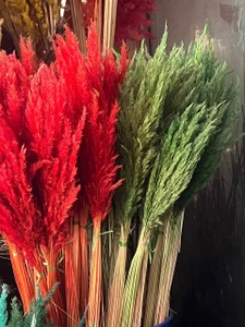 تصویر فروشگاه گلستونک