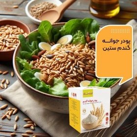 تصویر 20 بسته پودر جوانه گندم بین استار (دکتر بیز) 25 عددی 20 packets of interstar wheat germ powder (Dr. Bees) 25 pieces