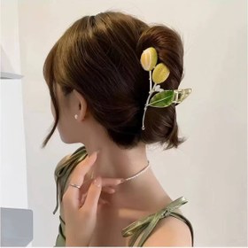 تصویر کلیپس فلزی 