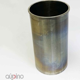 تصویر بوش موتور (سیلندر) WP12 