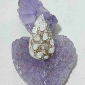 تصویر نگین مرجان فسیلی اصل 13 