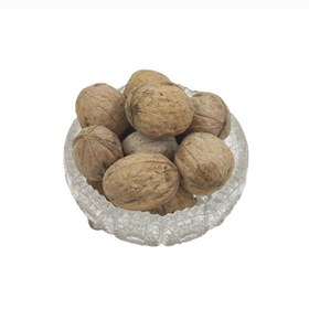 تصویر گردو ایرانی 