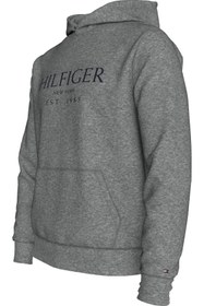 تصویر سویشرت مردانه برند تامی هیلفیگر Tommy Hilfiger اصل MW0MW35523 