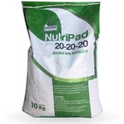 تصویر کود کامل NPK 20-20-20 نوتری پاد پادنا وزن ۱۰ کیلوگرم 