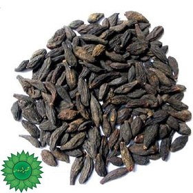 تصویر هلیله سیاه 