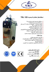 تصویر دستگاه بخار استاندارد کم مصرف T.S.T TSL 125 