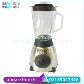 تصویر مخلوط کن آسیاب فانزی مدل ۵۰۱ 