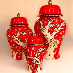 تصویر جینجر جار قرمز آیتوس 