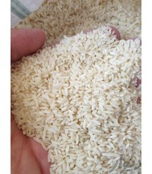 تصویر برنج ایرانی فله شکسته گلستان 