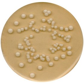 تصویر محیط کشت PDA کد 110130 مرک - 500 گرم Potato dextrose agar