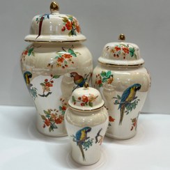 تصویر جینجرجار طوطی صدفی 