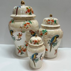 تصویر جینجرجار طوطی صدفی 