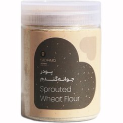تصویر پودر جوانه گندم سیدانو – 200 گرم 