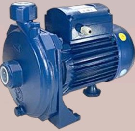 تصویر پمپ آب بشقابی نیوژن مدل FM100-02 ظرفیت ۱ اسب پروانه استیل 