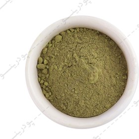 تصویر ماچا دراگون 