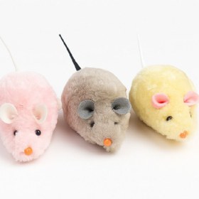 تصویر موش کوکی 