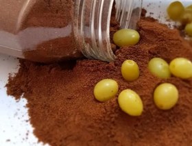 تصویر پودر غوره ممتازه 500 گرمی Ghor powder