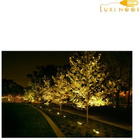 تصویر چراغ دفنی 2003-14 