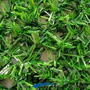 تصویر فنس چمنی چشمی 5 در 5 سانتی متر با عرض 1 متر Artificial Grass Fence