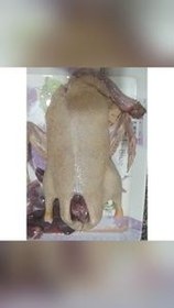 تصویر گوشت اردک تازه و خوشمزه 