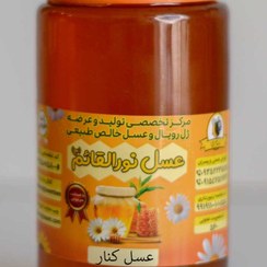 تصویر عسل کنار Ziziphus Honey