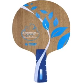 تصویر چوب راکت ویکتاس فلاچر آفنسیو پلاس TSP 