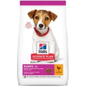 تصویر غذای خشک توله سگ نژاد کوچک هیلز با طعم مرغ Hills Small Breed Puppy Dry Food With Chicken Flavor