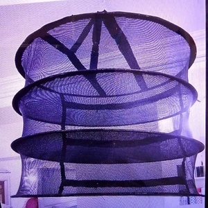 تصویر فروشگاه گل بانو شعبه 3