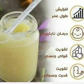 تصویر ژل رویال 10گرمی ارگانیک ییلاقات بندپی بابل 