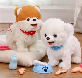 تصویر سگ کنترلی پلیشی 