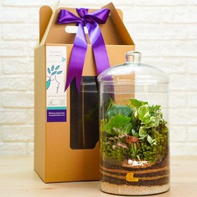 تصویر تراریوم مدل گلد بزرگ vip 