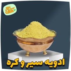 تصویر ادویه سیر و کره - 100 گرم 