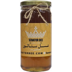 تصویر عسل کنار 700 گرم 