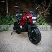 تصویر موتور شارژی تریل مدل ۱۲۵ با لاستیک فومی 