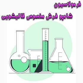 تصویر فرمولاسیون شامپو فرش مخصوص قالیشویی 