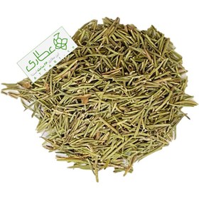 تصویر گیاه رزماری اعلاء 