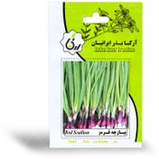 تصویر بذر پیازچه قرمز آرکا بذر ایرانیان Red Scallion Arka Bazr Iranian Seeds