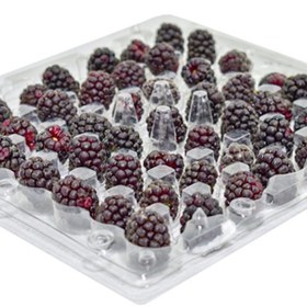 تصویر تمشک درجه یک – 200 گرم 