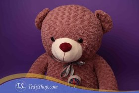 تصویر عروسک خرس کالباسی بزرگ 