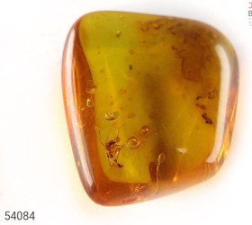 تصویر نگین کهربا کلوخه حشره دار کد 54084 